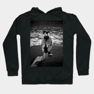 FISHING - IT AIN'T ALL BLACK N WHITE ! Hoodie